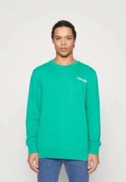 Wrangler GRAPHIC CREW - Sweatshirt - Leprechaun Green -Deutschland Wrangler Verkaufs-Shop 04556173960b427fa782970208131198 1