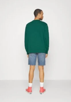 Wrangler CREW NECK - Sweatshirt - Bayberry Green -Deutschland Wrangler Verkaufs-Shop 35878ec4a2894e299befcda8944b4848
