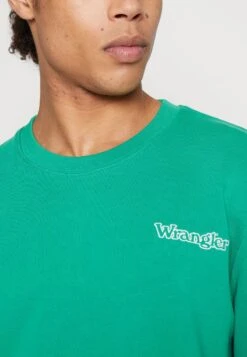 Wrangler GRAPHIC CREW - Sweatshirt - Leprechaun Green -Deutschland Wrangler Verkaufs-Shop 3cddf3acdfd84d29a2a500d730c017f7